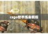 csgo新手炼金教程