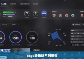 csgo录像听不到语音