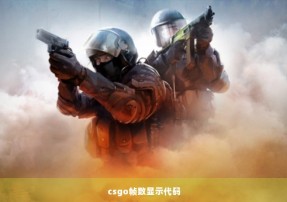 csgo帧数显示代码