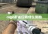 csgo打排位有什么奖励