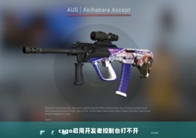 csgo启用开发者控制台打不开