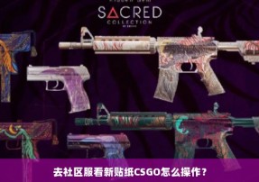 去社区服看新贴纸CSGO怎么操作？