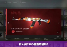 有人买CSGO普通饰品吗？