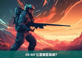 CS:GO 匕首能否贴纸？