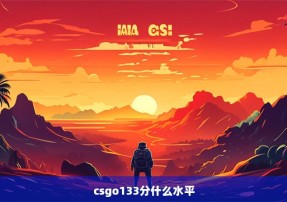 csgo133分什么水平