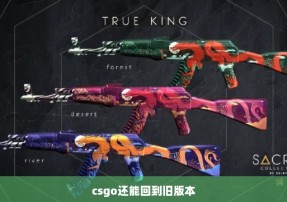 csgo还能回到旧版本