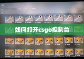 如何打开csgo控制台