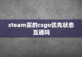 steam买的csgo优先状态互通吗