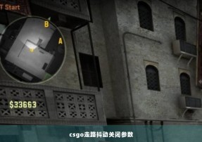 csgo走路抖动关闭参数