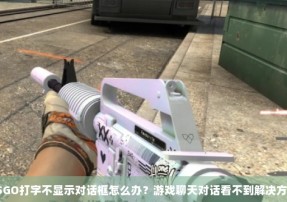 CSGO打字不显示对话框怎么办？游戏聊天对话看不到解决方法