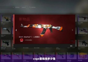 csgo要抱抱多少钱