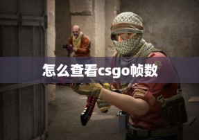 怎么查看csgo帧数