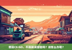 想玩CS:GO，不赢就没经验吗？该怎么办呢？