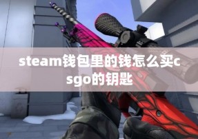 steam钱包里的钱怎么买csgo的钥匙