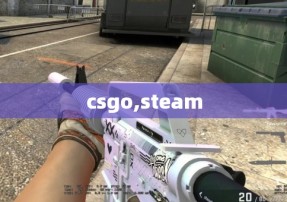 csgo,steam