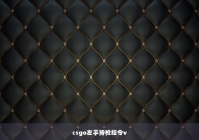 csgo左手持枪指令v