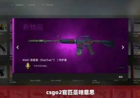 csgo2官匹是啥意思