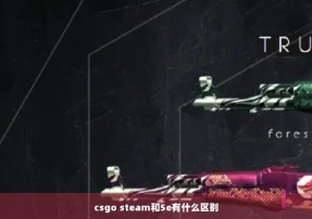 csgo steam和5e有什么区别