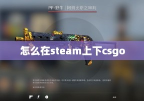 怎么在steam上下csgo