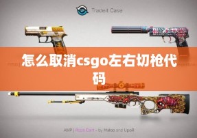 怎么取消csgo左右切枪代码