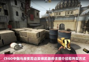 CSGO中伽马渐变周边实体武器的详细介绍和购买方式