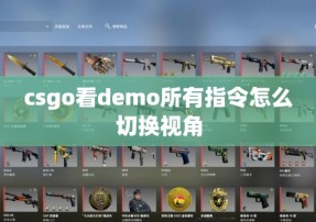 csgo看demo所有指令怎么切换视角