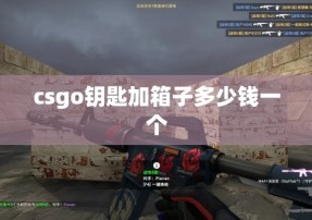 csgo钥匙加箱子多少钱一个