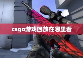 csgo游戏回放在哪里看