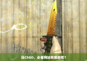 玩CSGO，必备网站有哪些呢？