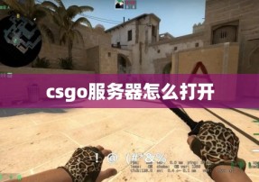 csgo服务器怎么打开