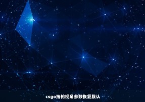 csgo持枪视角参数恢复默认