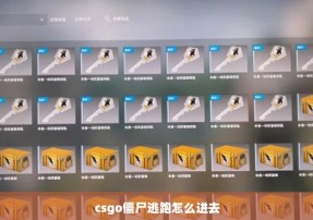 csgo僵尸逃跑怎么进去