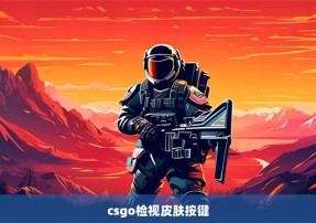 csgo检视皮肤按键