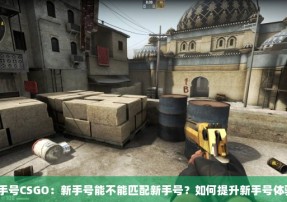 新手号CSGO：新手号能不能匹配新手号？如何提升新手号体验？