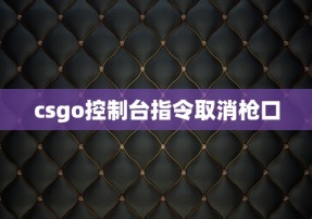 csgo控制台指令取消枪口