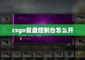 csgo复盘控制台怎么开