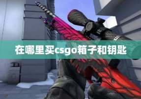 在哪里买csgo箱子和钥匙