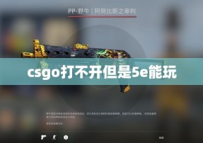 csgo打不开但是5e能玩