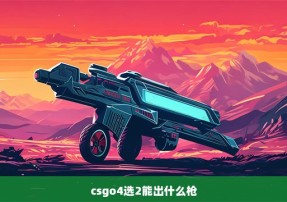 csgo4选2能出什么枪