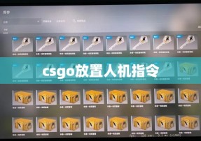 csgo放置人机指令