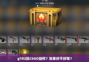 g102玩CSGO如何？效果好不好呢？