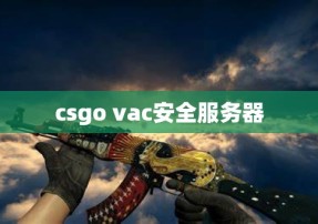 csgo vac安全服务器