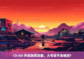 CS:GO 开皮肤修改器，大号会不会被封?