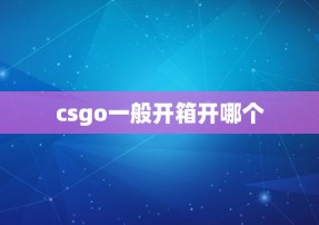 csgo一般开箱开哪个