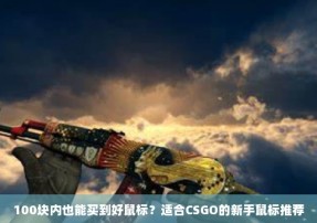 100块内也能买到好鼠标？适合CSGO的新手鼠标推荐