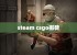 steam csgo搬砖