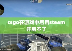 csgo在游戏中启用steam开启不了