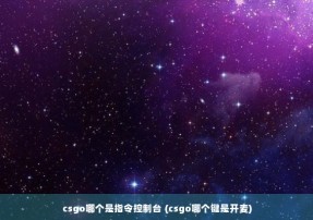 csgo哪个是指令控制台 (csgo哪个键是开麦)