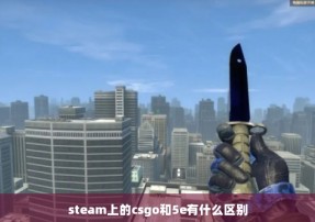 steam上的csgo和5e有什么区别