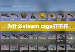 为什么steam csgo打不开